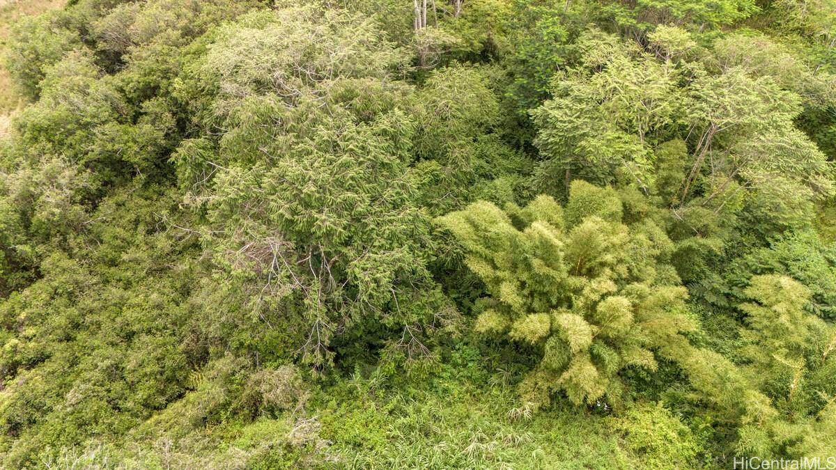 Lot 89 Huina Rd  Mountain View, Hi vacant land for sale - photo 7 of 17