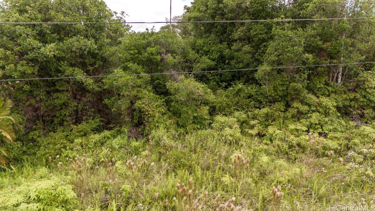 Lot 89 Huina Rd  Mountain View, Hi vacant land for sale - photo 8 of 17