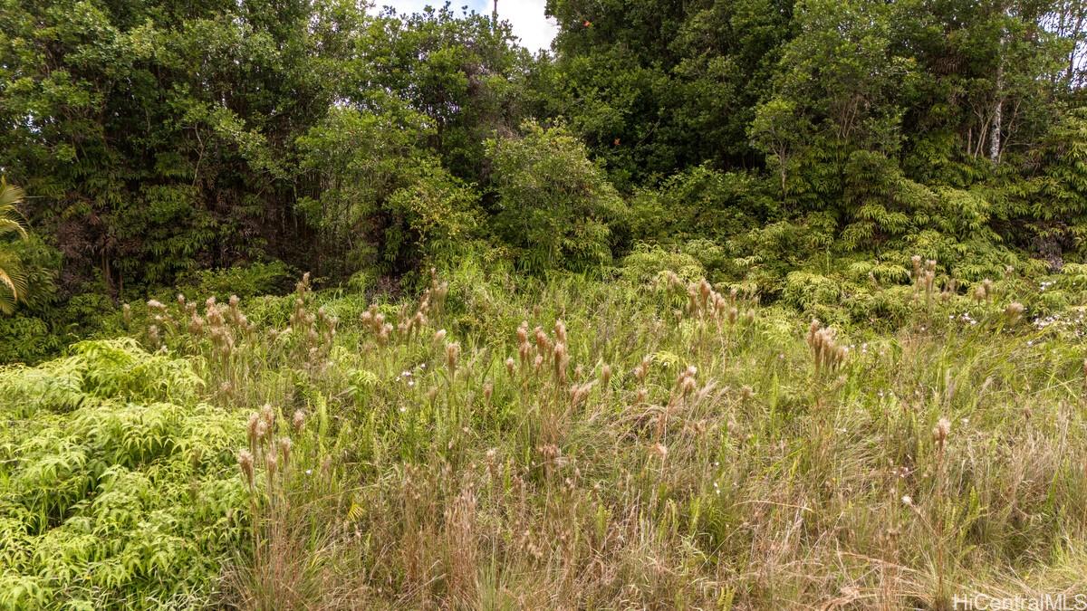 Lot 89 Huina Rd  Mountain View, Hi vacant land for sale - photo 9 of 17