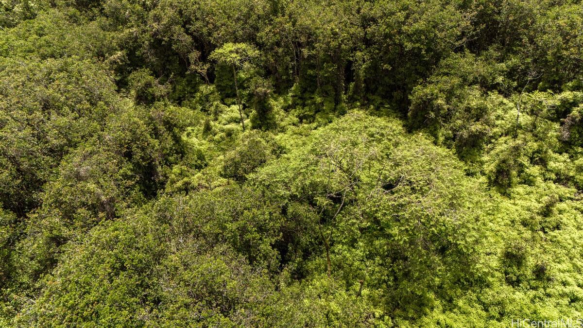 Lot 89 Huina Rd  Mountain View, Hi vacant land for sale - photo 10 of 17