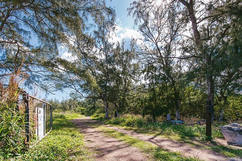 Lot A2 Kamehameha Hwy  Kahuku, Hi vacant land for sale - photo 4 of 23