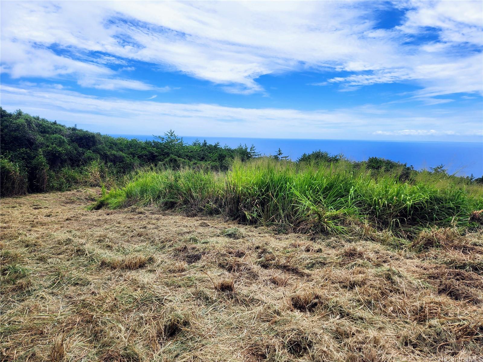 0 Mamalahoa Hwy  Captain Cook, Hi vacant land for sale - photo 7 of 15