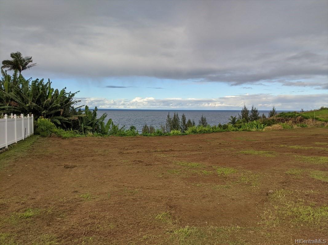 na Hawaii Belt Road LOT 8 Papaaloa, Hi vacant land for sale - photo 4 of 6