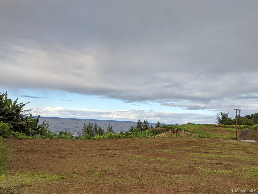 na Hawaii Belt Road LOT 8 Papaaloa, Hi vacant land for sale - photo 5 of 6
