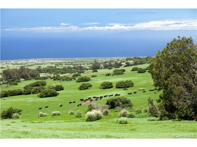 na Puuhue-honoipo Rd  Hawi, Hi vacant land for sale - photo 2 of 17