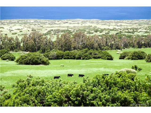 na Puuhue-honoipo Rd  Hawi, Hi vacant land for sale - photo 5 of 17