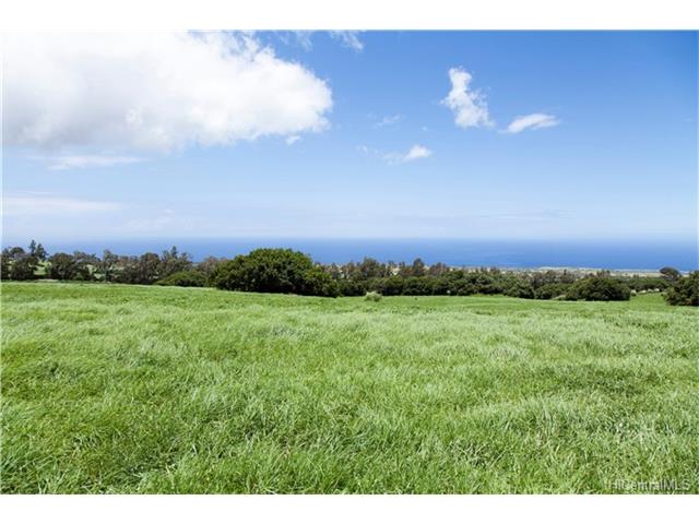 na Puuhue-honoipo Rd  Hawi, Hi vacant land for sale - photo 9 of 17