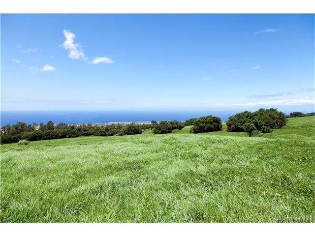 na Puuhue-honoipo Rd  Hawi, Hi vacant land for sale - photo 10 of 17