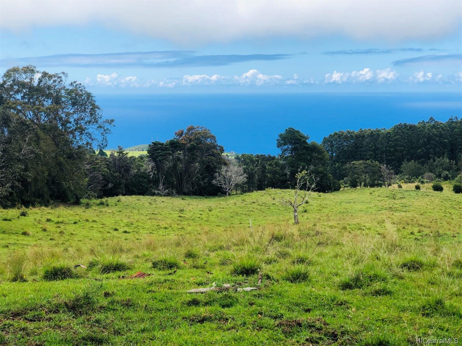 0 N/A Road  Ookala, Hi vacant land for sale - photo 4 of 16