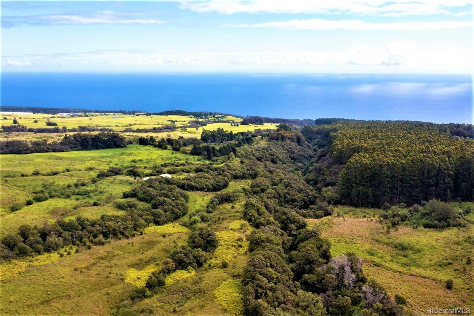 0 N/A Road  Ookala, Hi vacant land for sale - photo 8 of 16