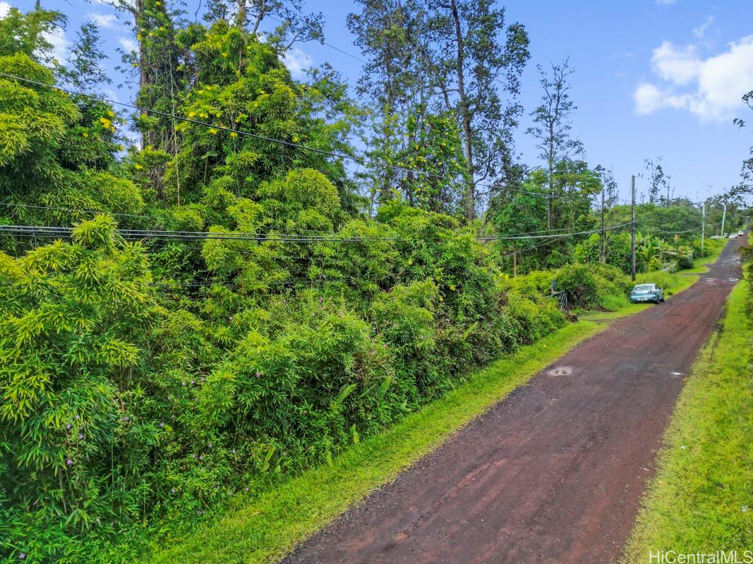 NA Tangerine Drive Lot 39 Pahoa, Hi vacant land for sale - photo 2 of 6