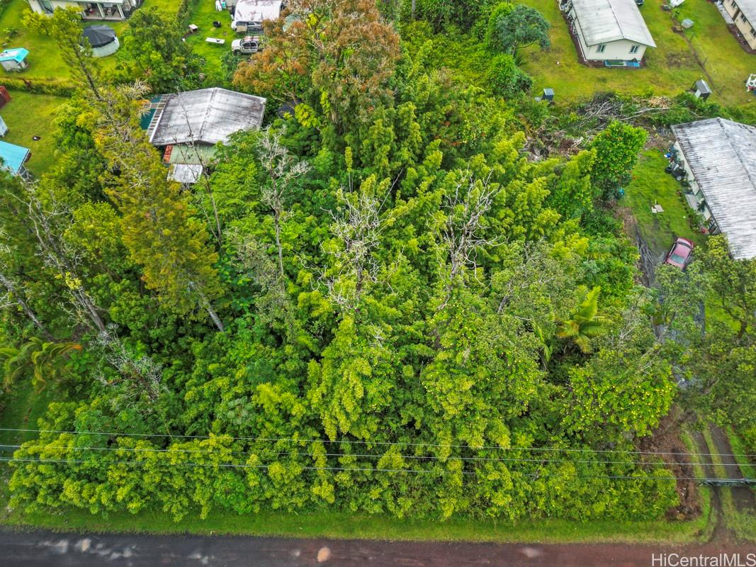 NA Tangerine Drive Lot 39 Pahoa, Hi vacant land for sale - photo 4 of 6