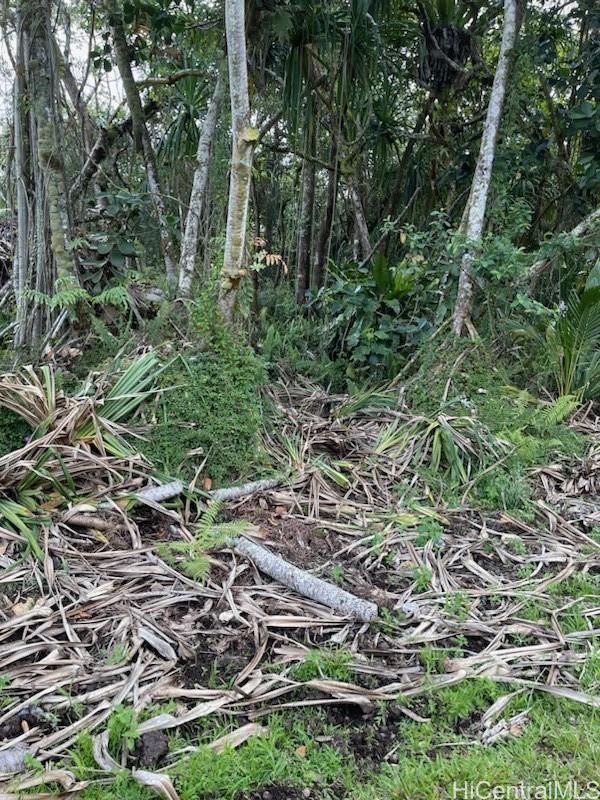 0 S Ono Sts  Pahoa, Hi vacant land for sale - photo 2 of 4