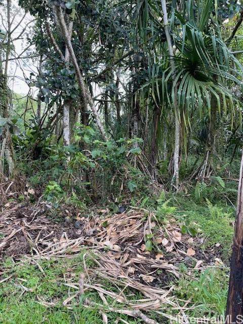 0 S Ono Sts  Pahoa, Hi vacant land for sale - photo 3 of 4