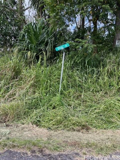 0 S Ono Sts  Pahoa, Hi vacant land for sale - photo 4 of 4