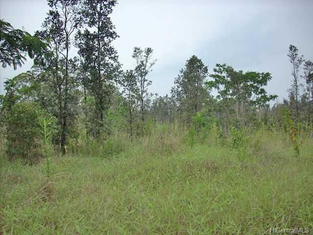 0 Orchid Land Dr  , Hi vacant land for sale - photo 1 of 6