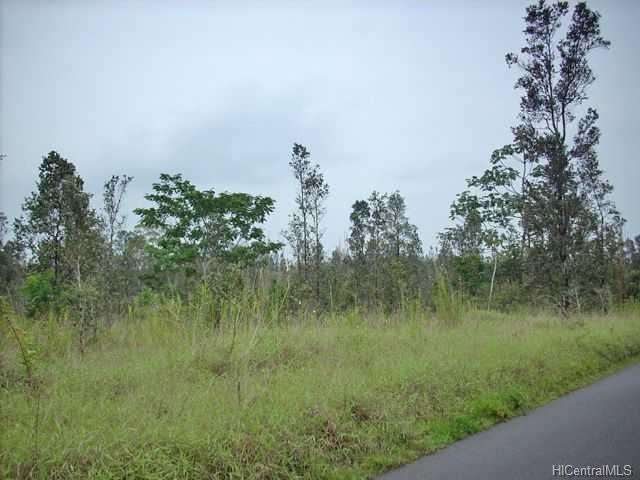 0 Orchid Land Dr  , Hi vacant land for sale - photo 2 of 6