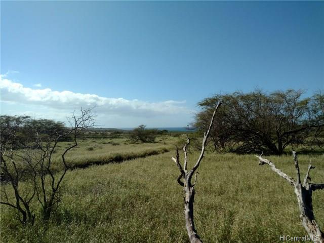 0 Pa Loa Loop  Maunaloa, Hi 96770 vacant land - photo 6 of 10