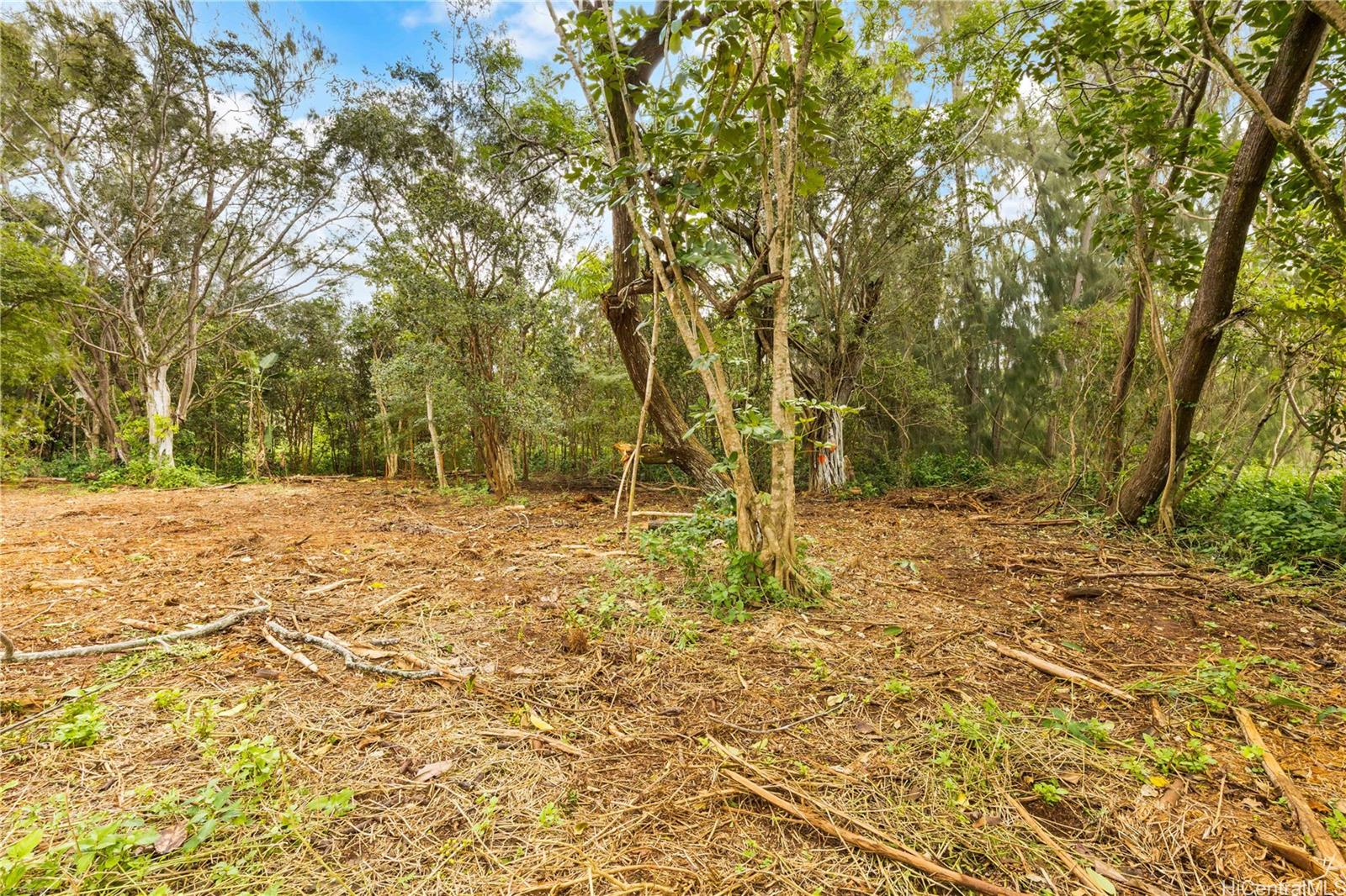 Parcel 49 Alapio Road  Haleiwa, Hi vacant land for sale - photo 11 of 19