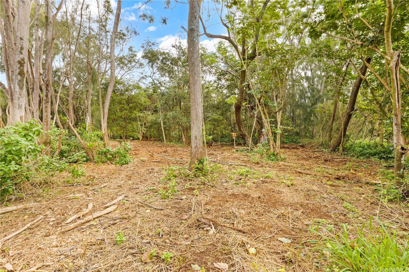 Parcel 49 Alapio Road  Haleiwa, Hi vacant land for sale - photo 12 of 19