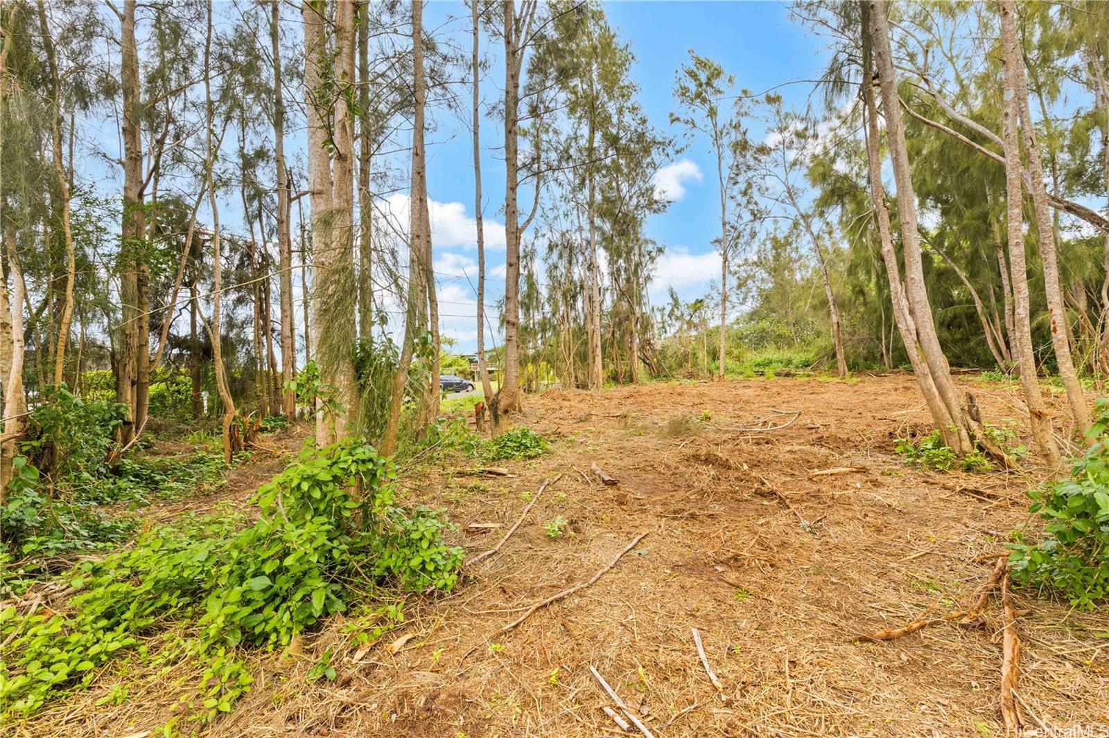 Parcel 49 Alapio Road  Haleiwa, Hi vacant land for sale - photo 13 of 19