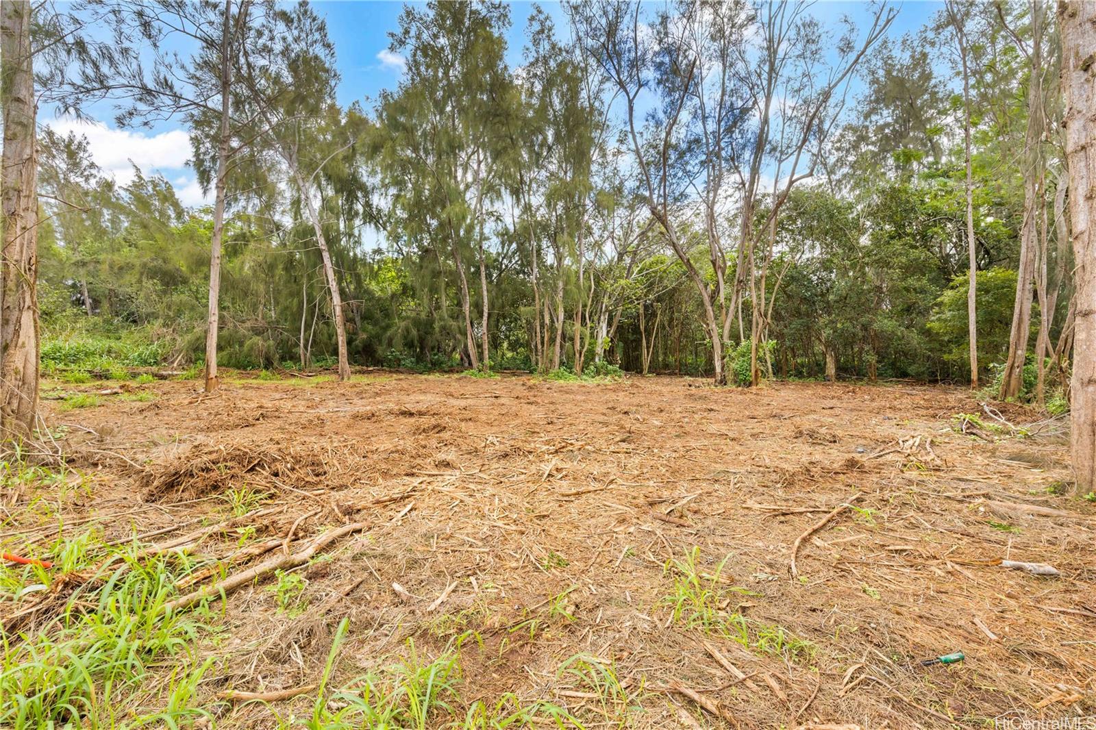 Parcel 49 Alapio Road  Haleiwa, Hi vacant land for sale - photo 5 of 19