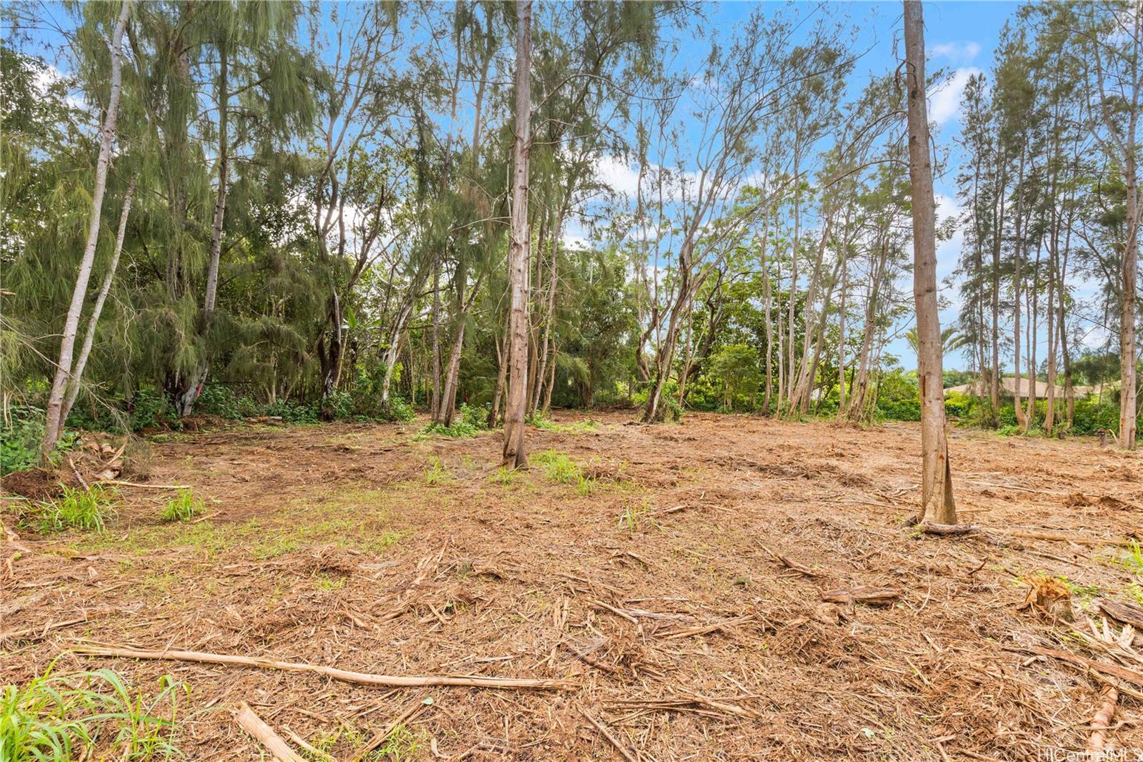 Parcel 49 Alapio Road  Haleiwa, Hi vacant land for sale - photo 7 of 19