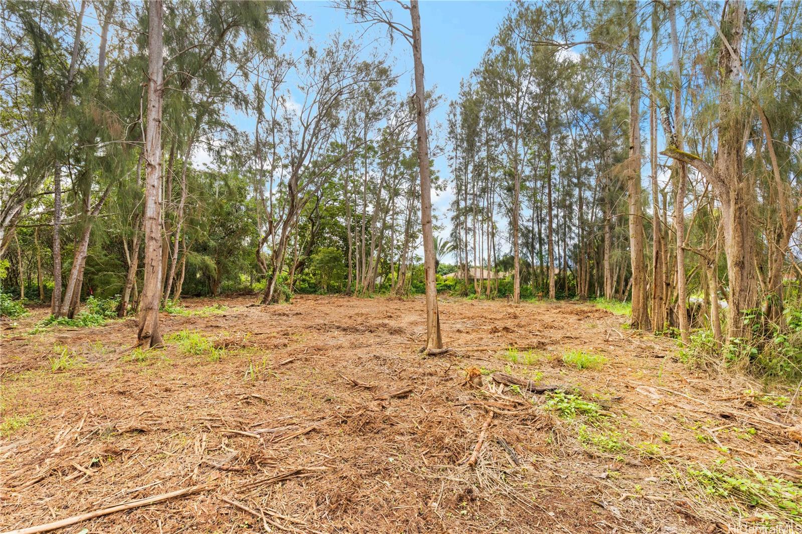 Parcel 49 Alapio Road  Haleiwa, Hi vacant land for sale - photo 8 of 19
