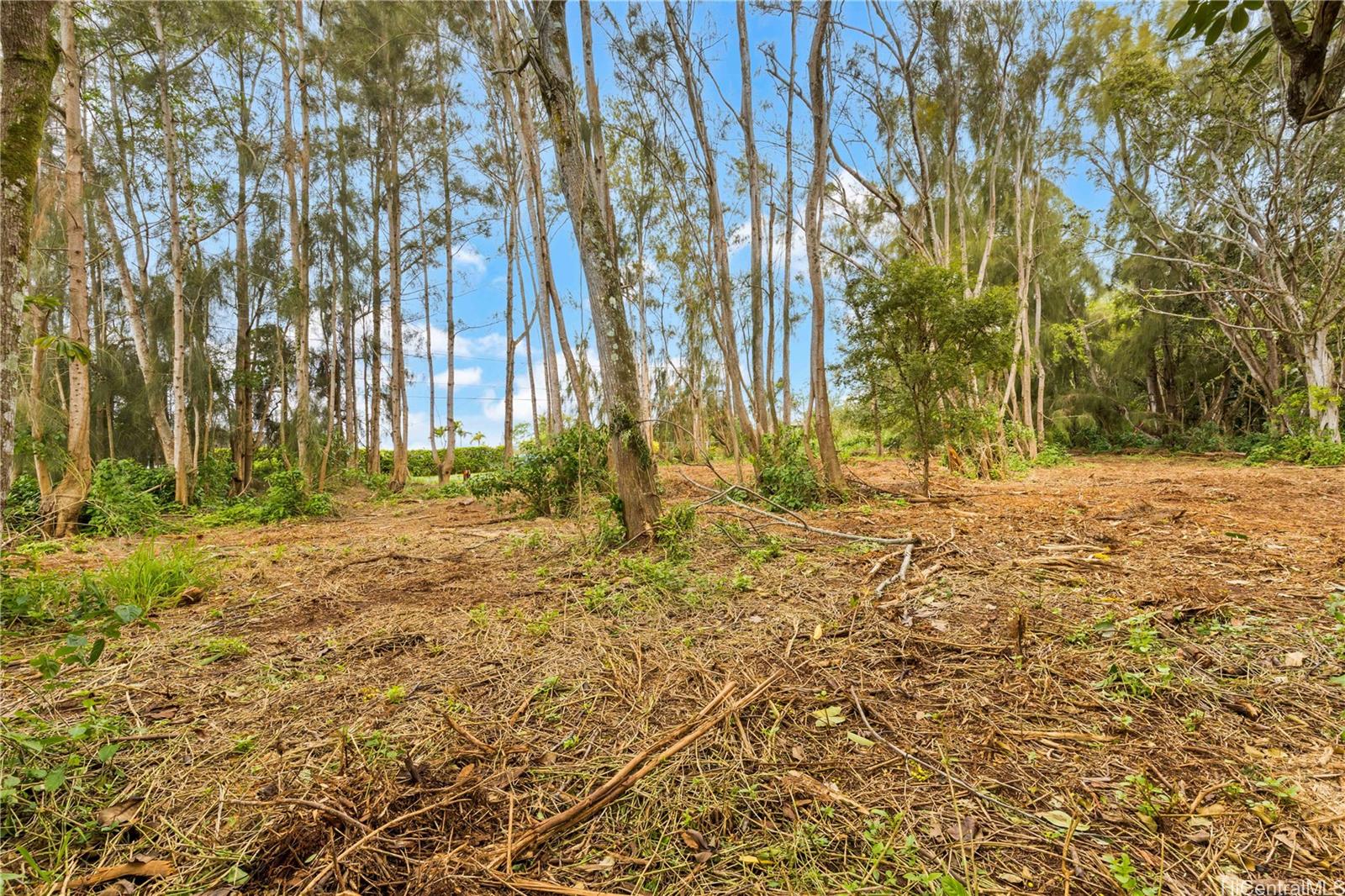 Parcel 49 Alapio Road  Haleiwa, Hi vacant land for sale - photo 9 of 19