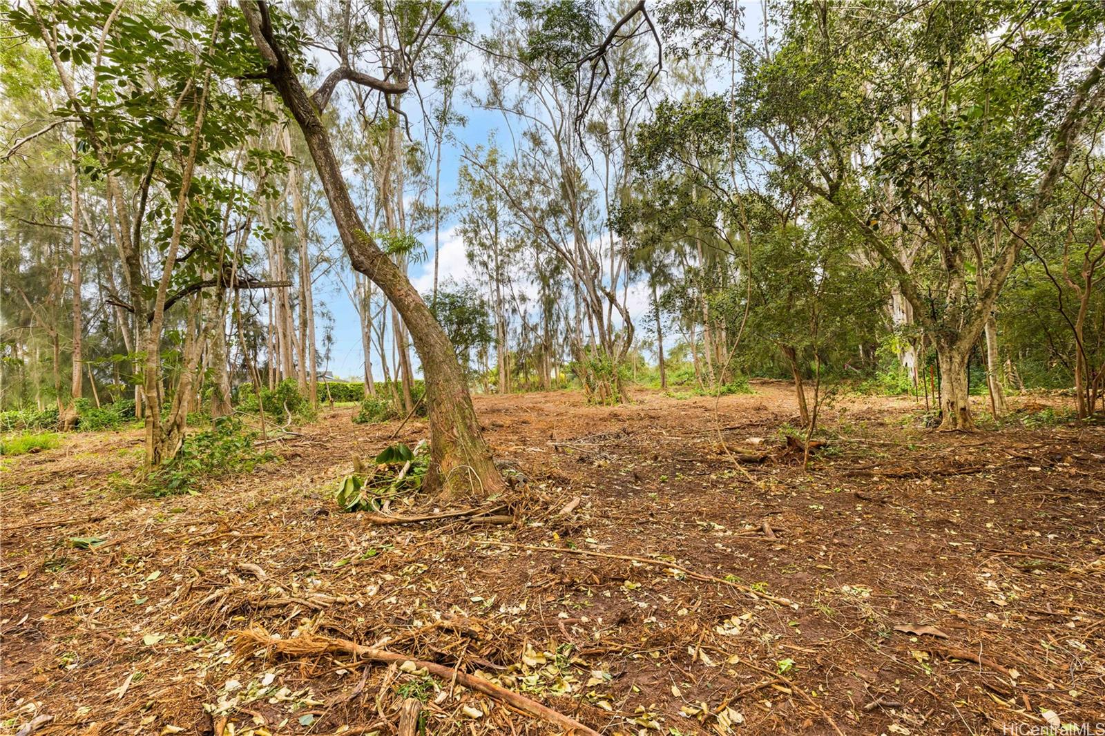 Parcel 49 Alapio Road  Haleiwa, Hi vacant land for sale - photo 10 of 19