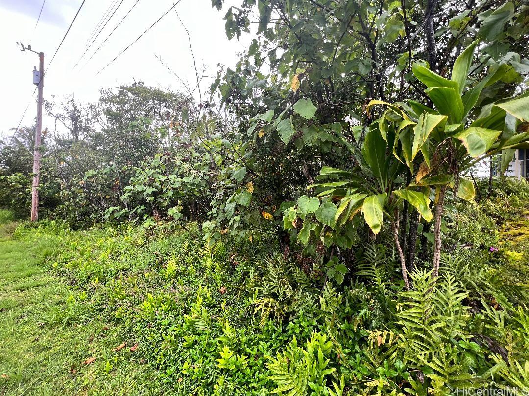 0 Pohakupele Loop  Pahoa, Hi vacant land for sale - photo 2 of 10