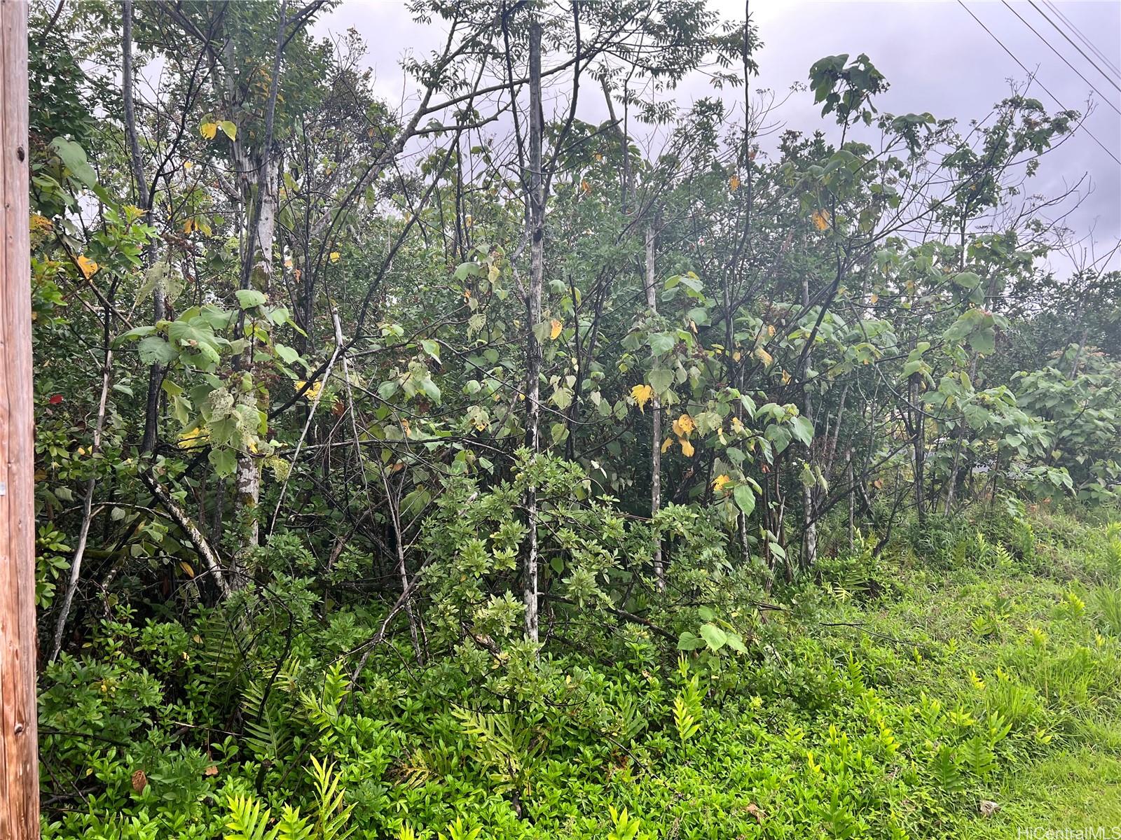 0 Pohakupele Loop  Pahoa, Hi vacant land for sale - photo 3 of 10