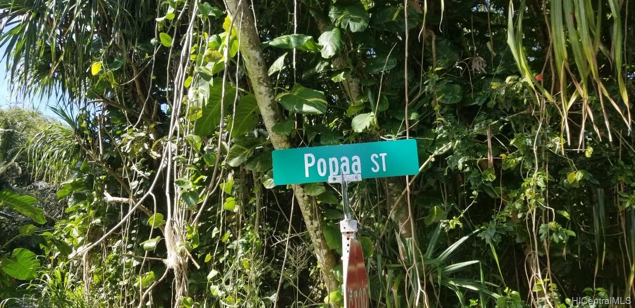 0 Popaa Street  Pahoa, Hi vacant land for sale - photo 7 of 13