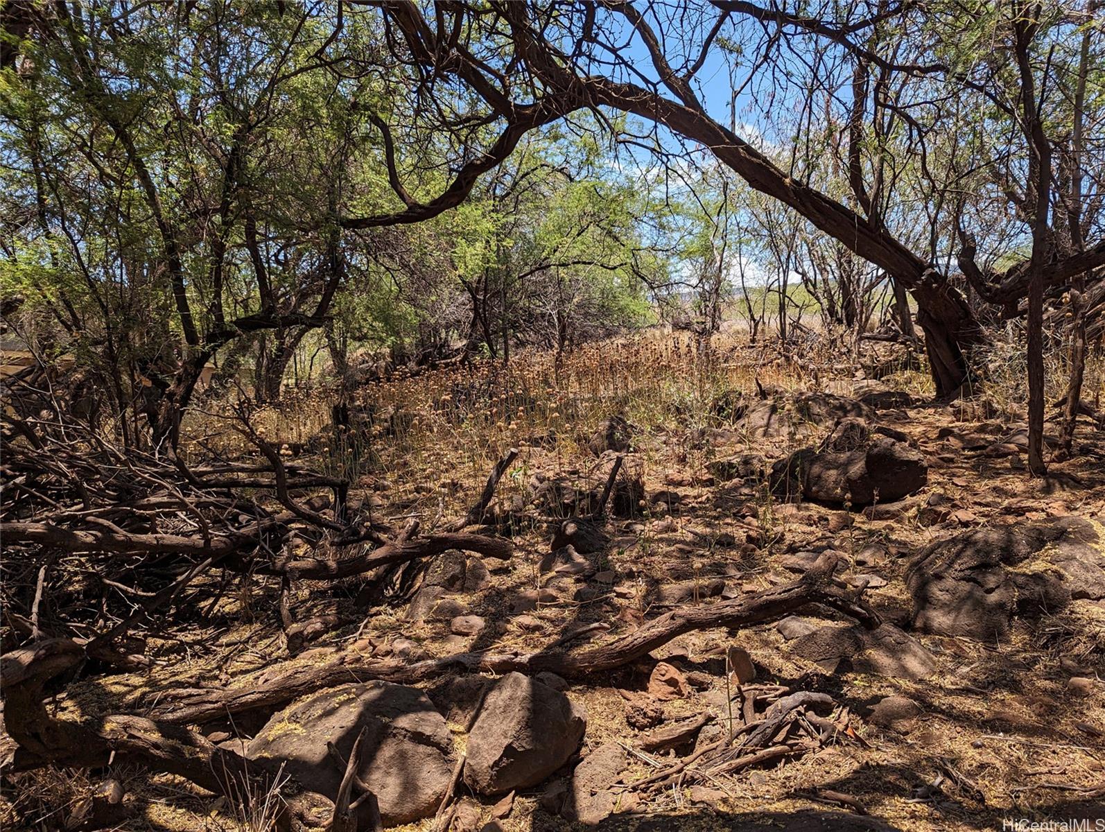 Portion of Grant 6538 Kamehameha V Hwy  Kaunakakai, Hi vacant land for sale - photo 11 of 16