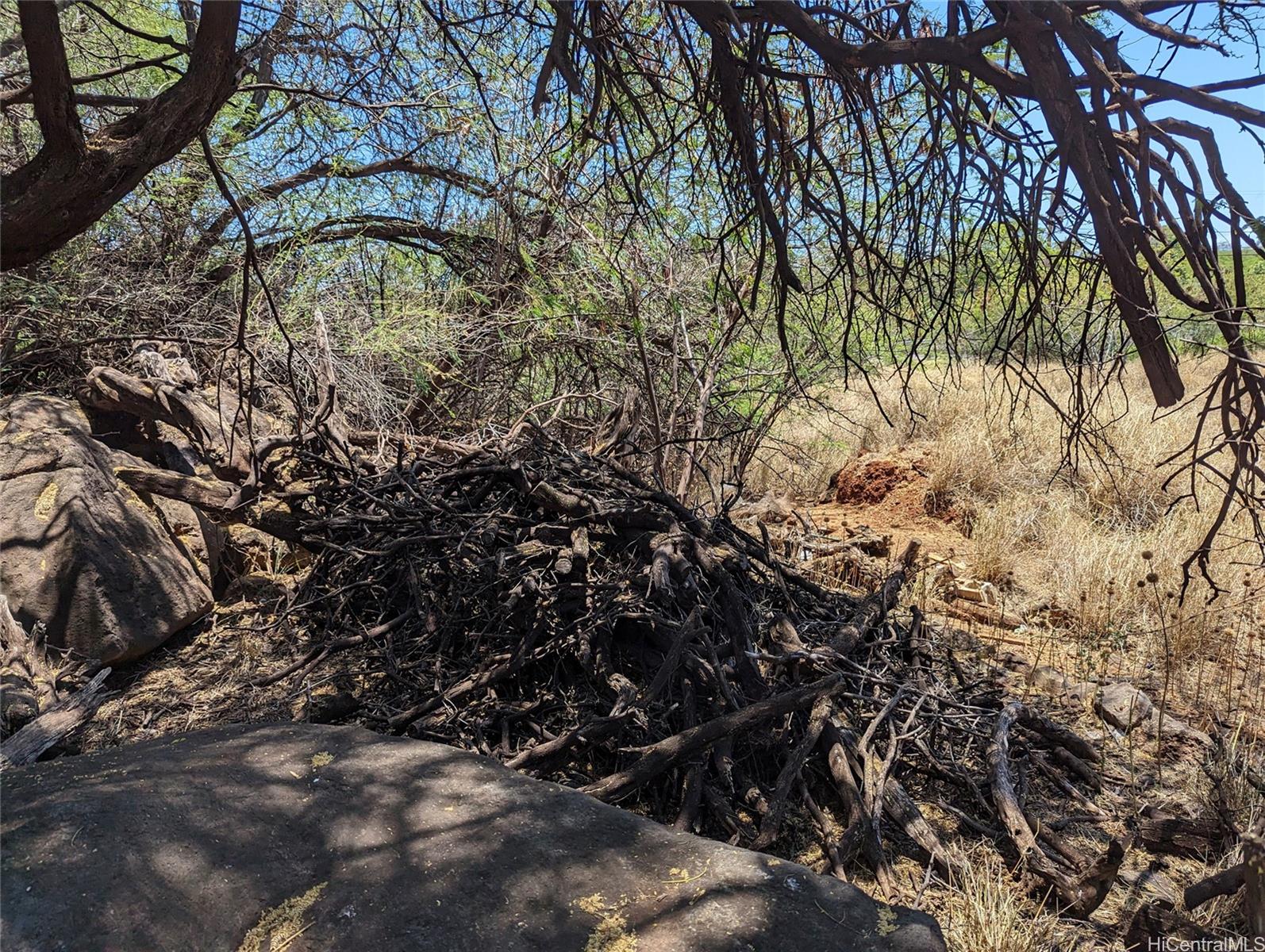 Portion of Grant 6538 Kamehameha V Hwy  Kaunakakai, Hi vacant land for sale - photo 12 of 16