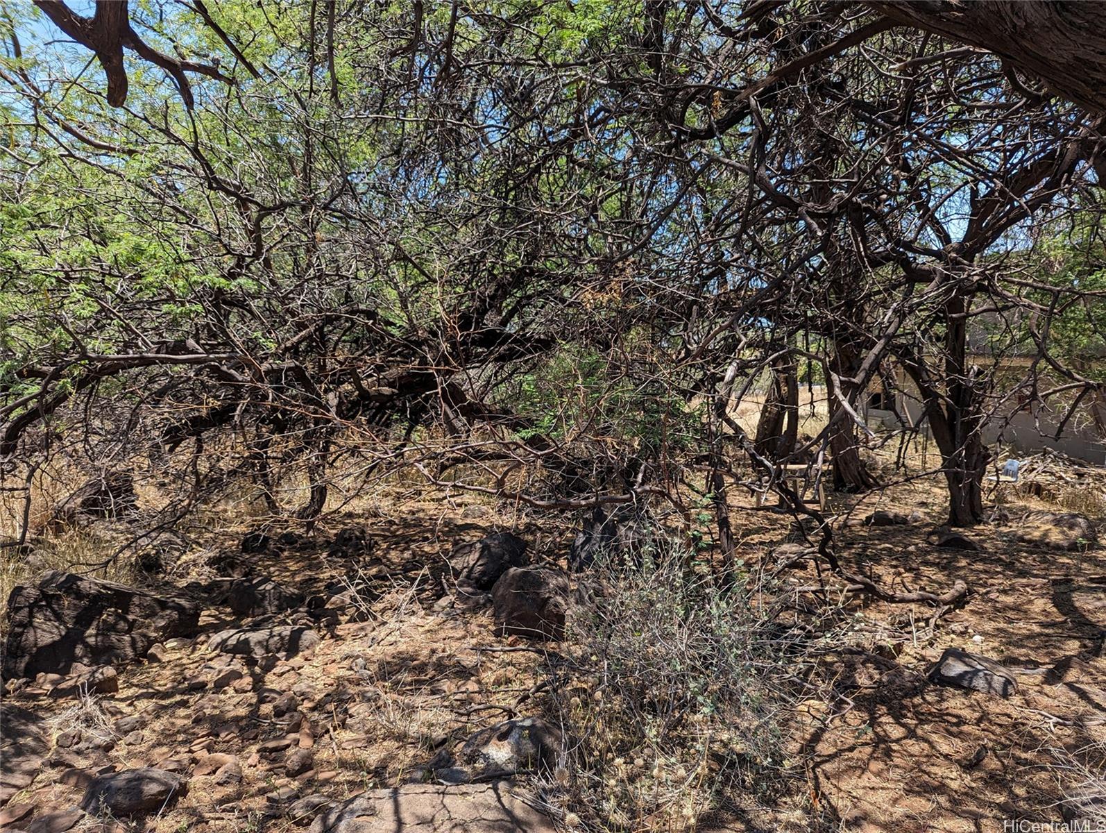 Portion of Grant 6538 Kamehameha V Hwy  Kaunakakai, Hi vacant land for sale - photo 13 of 16