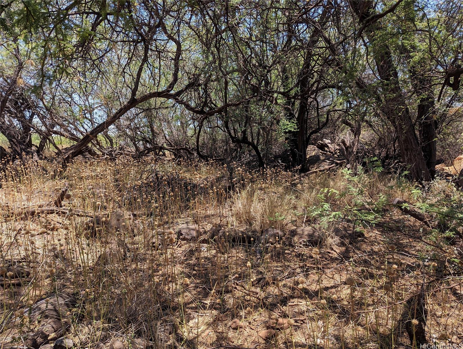 Portion of Grant 6538 Kamehameha V Hwy  Kaunakakai, Hi vacant land for sale - photo 14 of 16