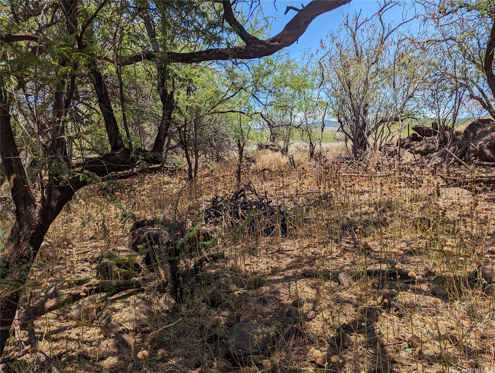 Portion of Grant 6538 Kamehameha V Hwy  Kaunakakai, Hi vacant land for sale - photo 10 of 16