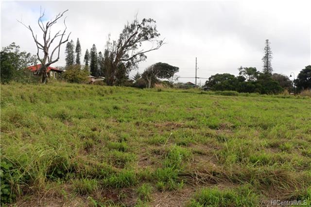 0 Puunana Street D-071 Maunaloa, Hi vacant land for sale - photo 5 of 7