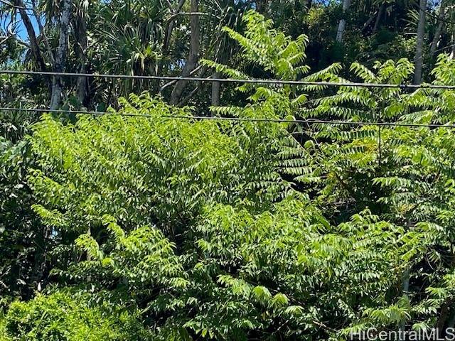 S Puni Lapa Loop  Pahoa, Hi vacant land for sale - photo 3 of 7