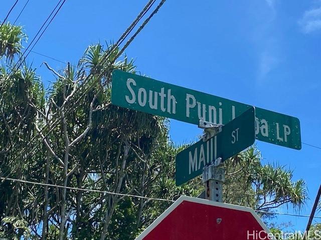 S Puni Lapa Loop  Pahoa, Hi vacant land for sale - photo 4 of 7