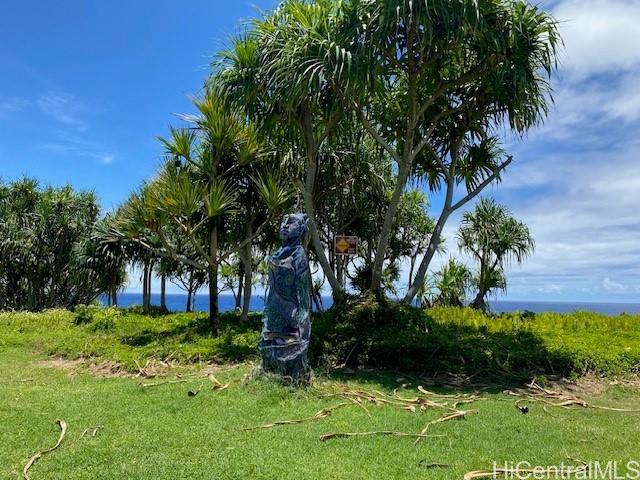 S Puni Lapa Loop  Pahoa, Hi vacant land for sale - photo 5 of 7