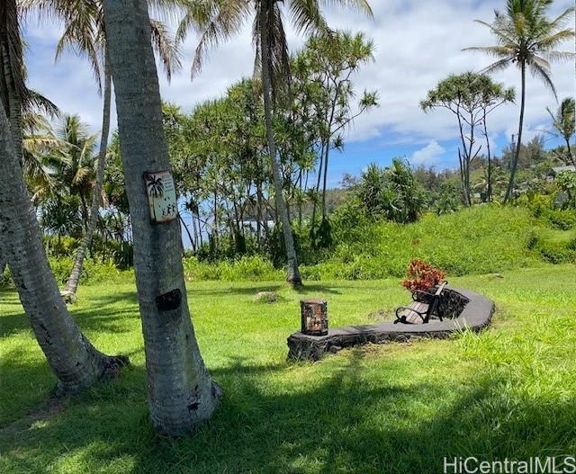 S Puni Lapa Loop  Pahoa, Hi vacant land for sale - photo 6 of 7