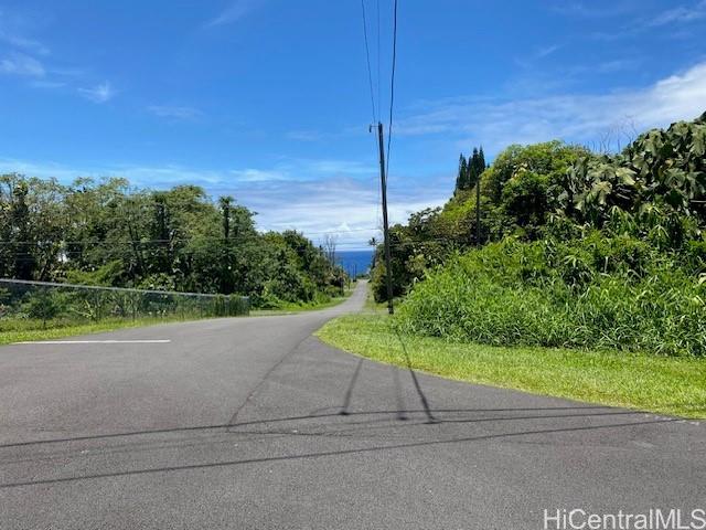S Puni Lapa Loop  Pahoa, Hi vacant land for sale - photo 7 of 7