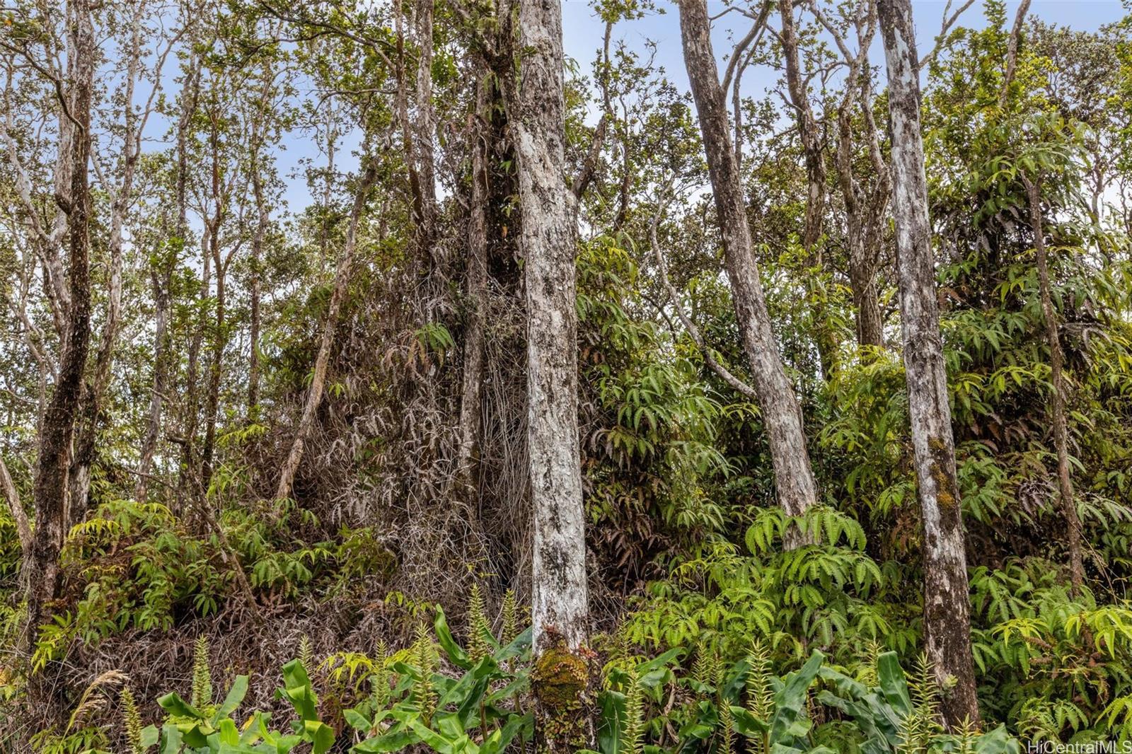 tbd Mokuna Street  Volcano, Hi vacant land for sale - photo 7 of 25