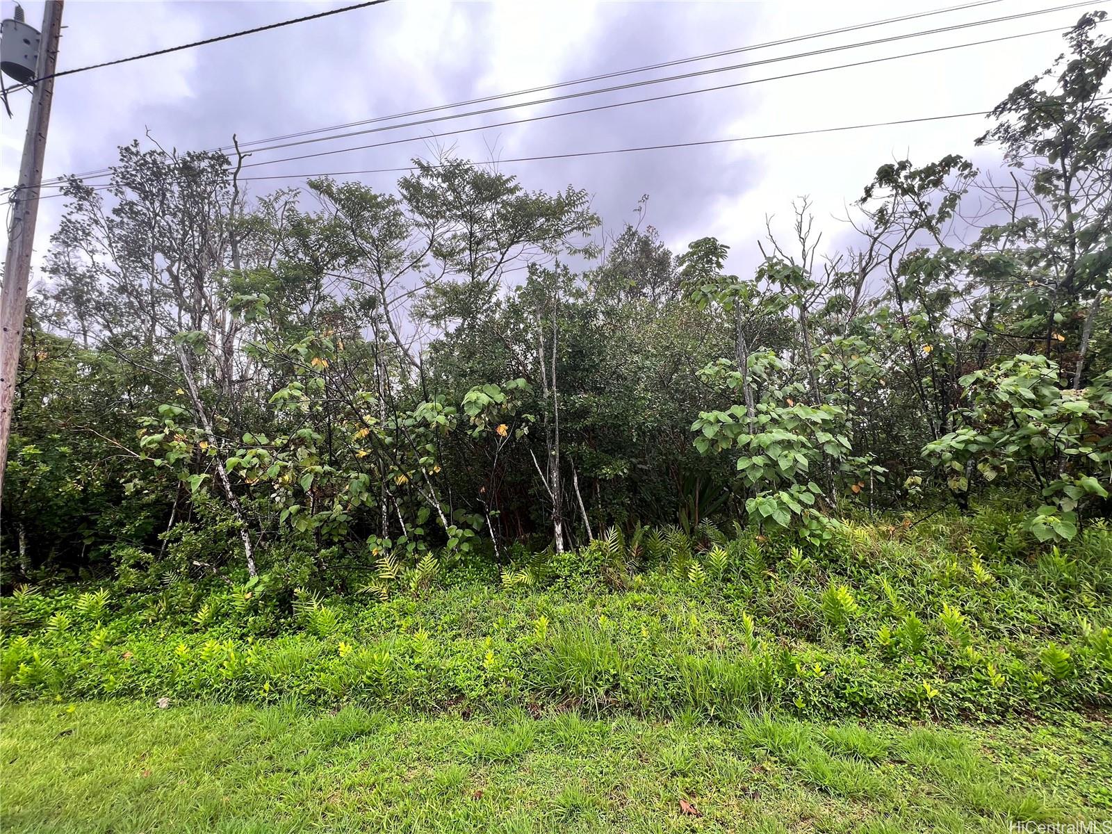 0 WEHELAUNIU Street  Pahoa, Hi vacant land for sale - photo 3 of 10