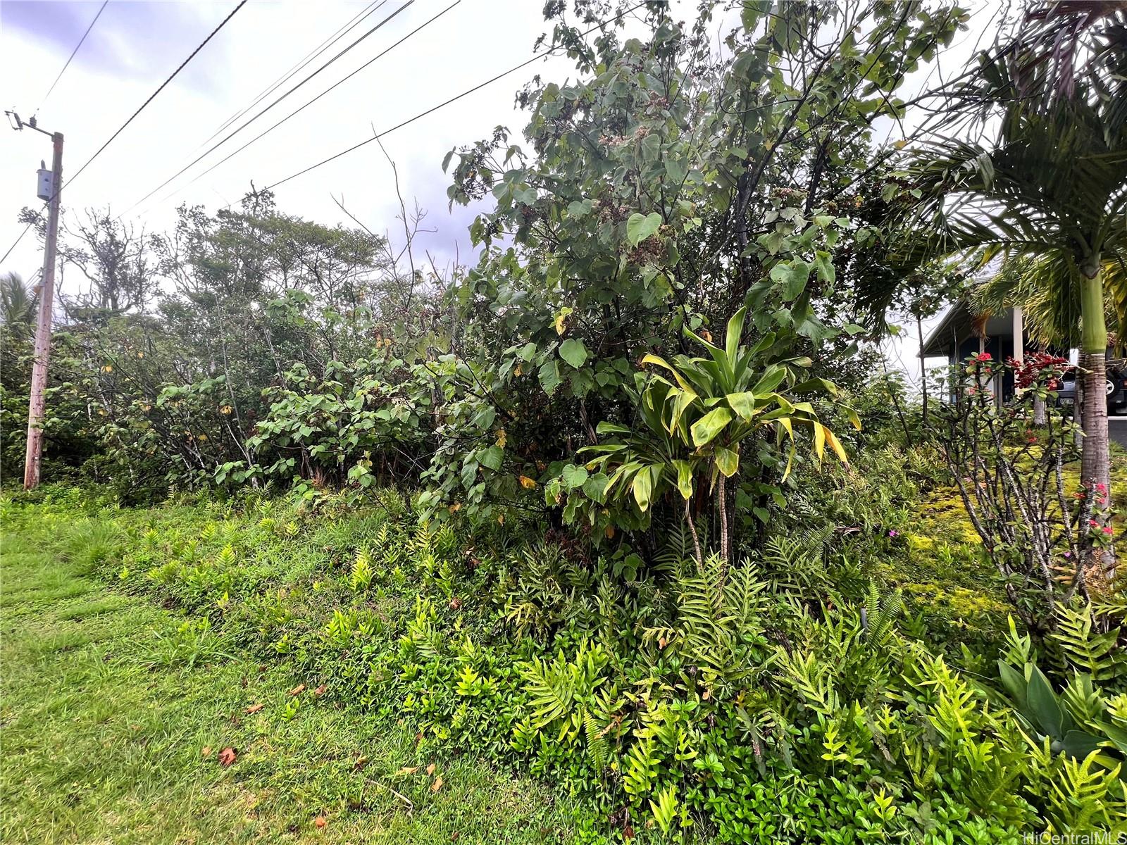 0 WEHELAUNIU Street  Pahoa, Hi vacant land for sale - photo 4 of 10