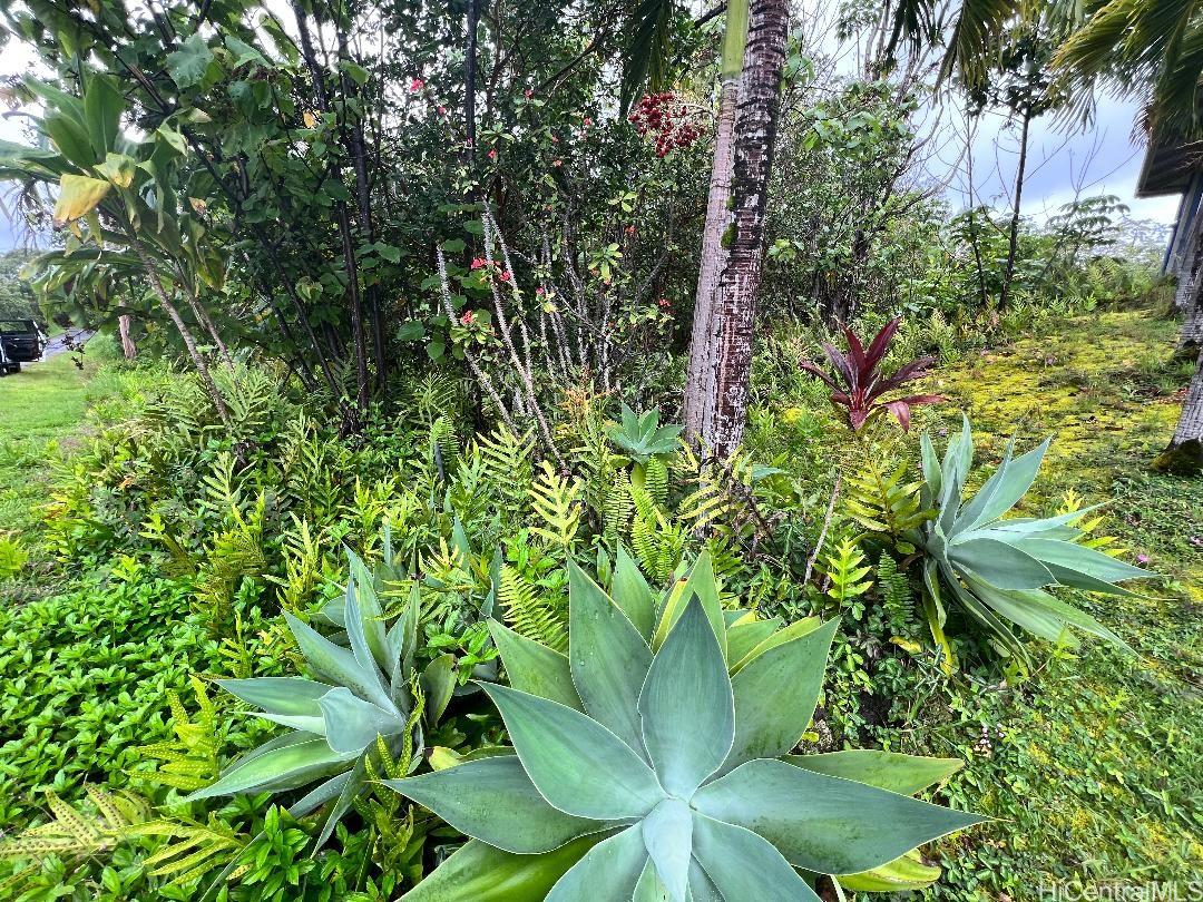 0 WEHELAUNIU Street  Pahoa, Hi vacant land for sale - photo 9 of 10