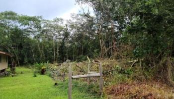 . Ohiki Street  Pahoa, Hi vacant land for sale - photo 1 of 7