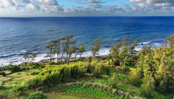 00 Kapoli Street 4 Kealia, Hi vacant land for sale - photo 4 of 15